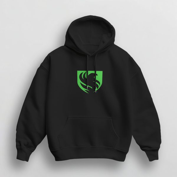 Sweat à Capuche Unisex TEAM FALCONS